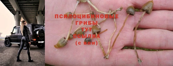 гашишное масло Аркадак