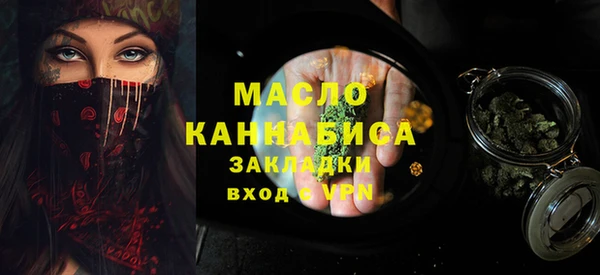 молекула духа Арсеньев