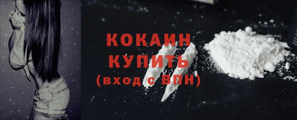 молекула духа Арсеньев